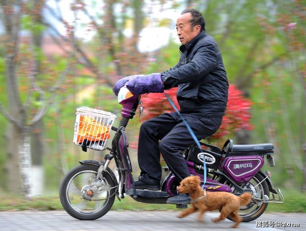 已明确！70岁以上的老年人，能骑5种电动车，但有2种电动车不能骑_搜狐