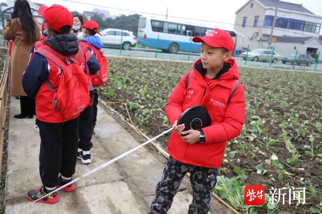 "苏州一箭河实验小学校·采香泾村"美丽菜园"首次体验活动