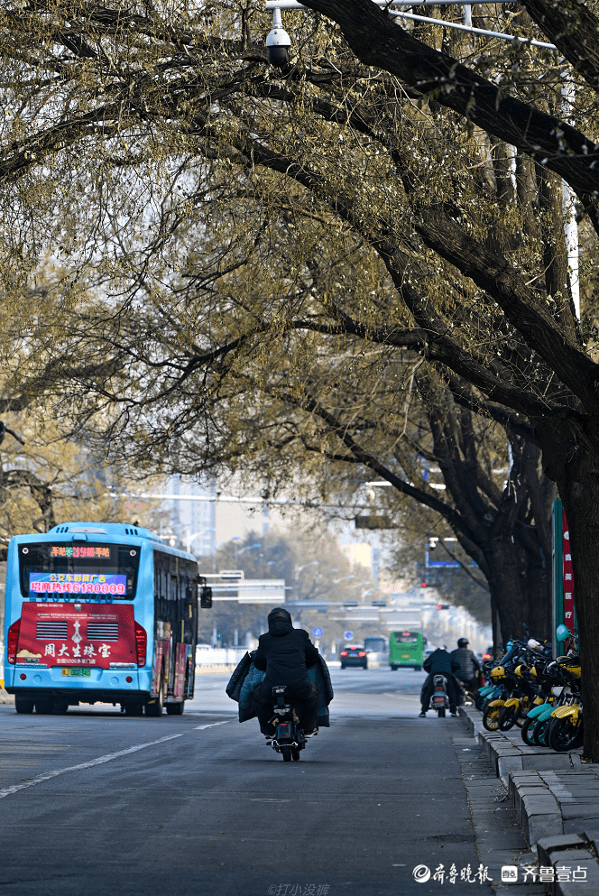 壹图集｜冷空气频袭泰城，行人脚步渐渐