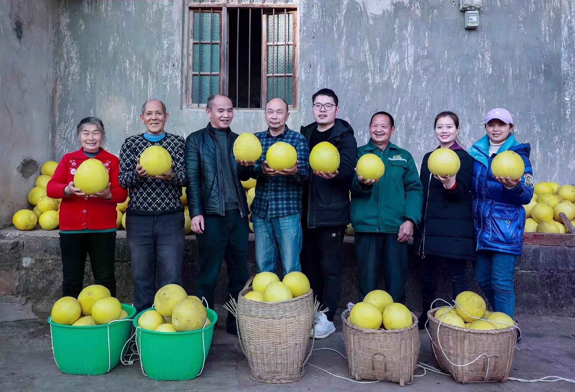 忠县新立镇青台村:300亩柚子丰收采摘忙_蜜柚_游客_农户