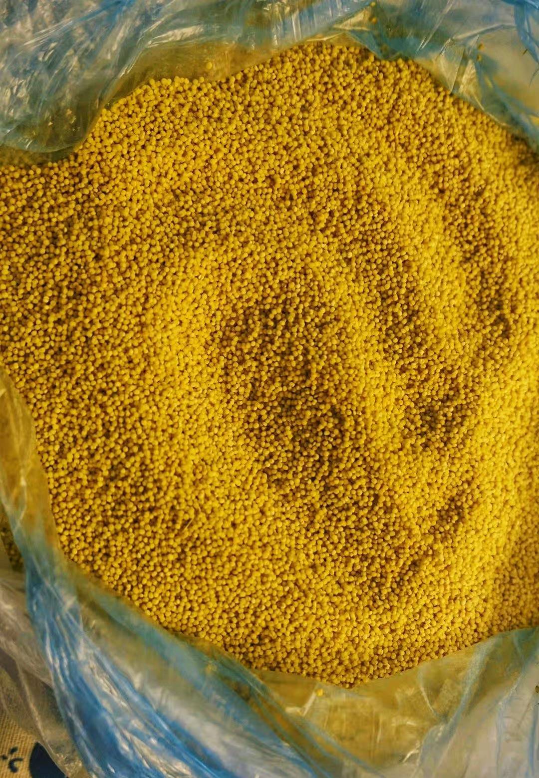 一粒小香米 一碗小米粥 一段家的故事