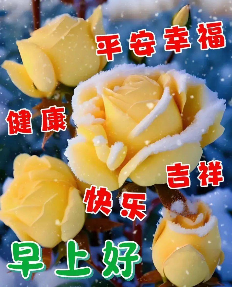 12月13日星期二清晨早上好问候祝福图片 周二最新早安问候祝福图片带