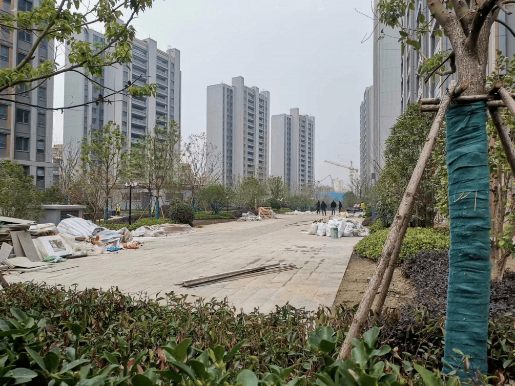 开发商正面回应_兰庭_小区_华著