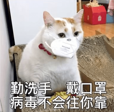 速看！“阳”过还会再“阳”吗？家中物品有被感染风险吗？