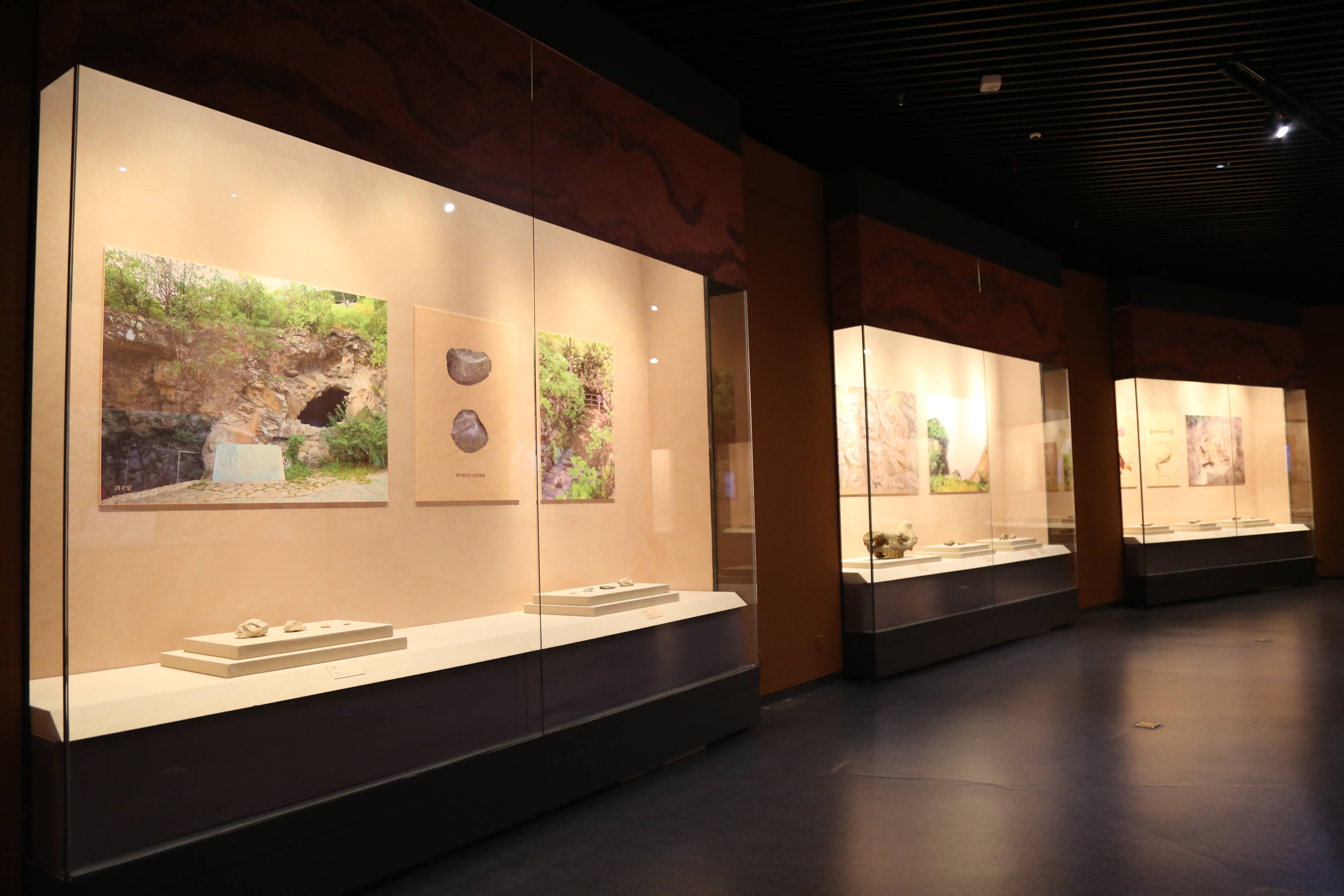 周口店遗址文物展亮相太原市博物馆_北京_展览_化石