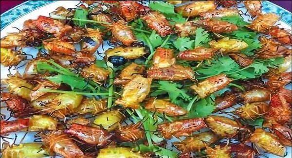 盘点五大最让人难以下咽的美食,你能够吃下去几个?