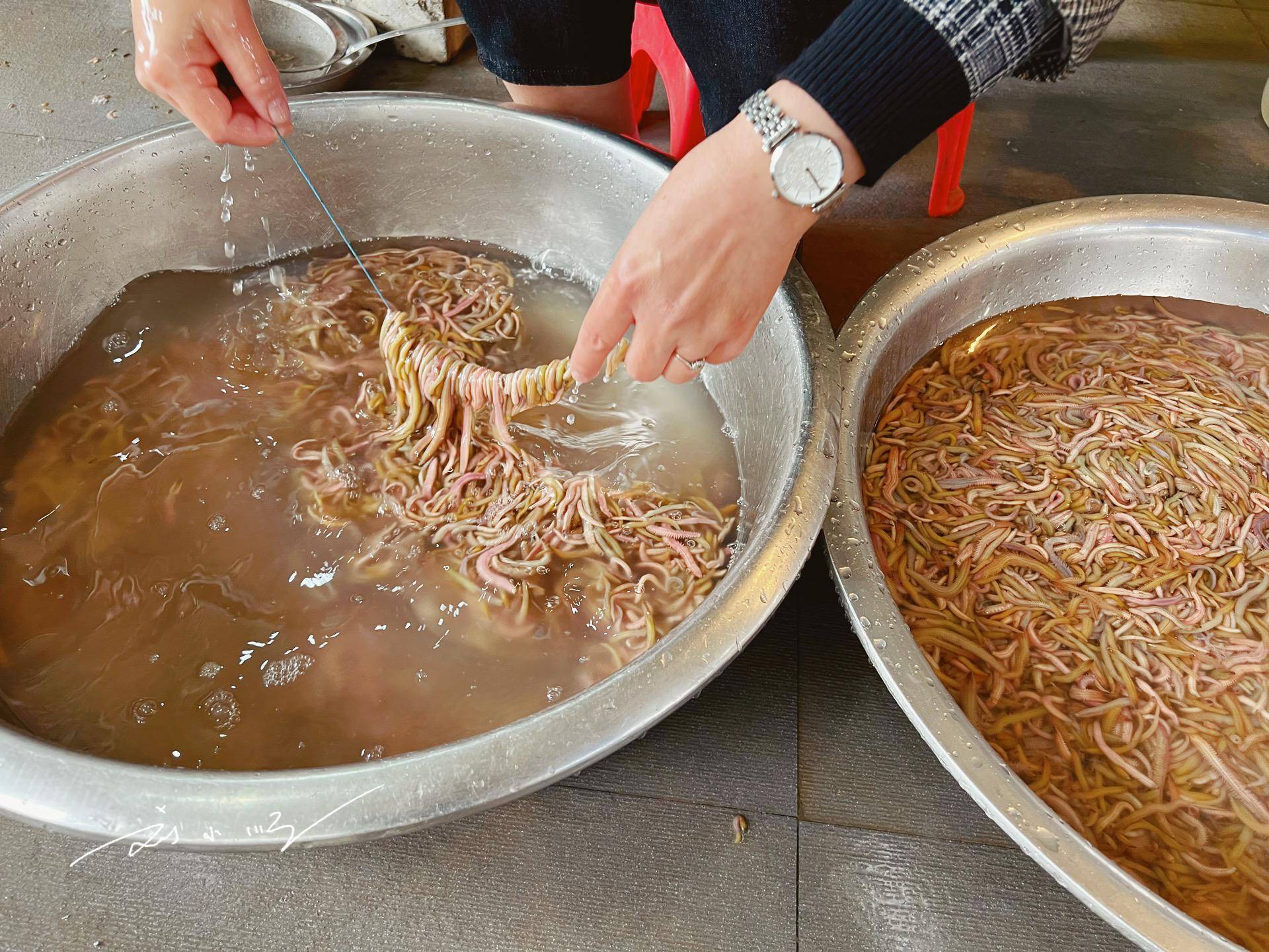 要说,这次在"疍家妹"吃到南沙"特色美食",给我印象最深刻的无疑就是"