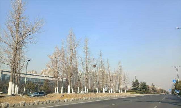 花果山景观大道是连云港数一数二展示现代化建设形象的道路_未来_城市