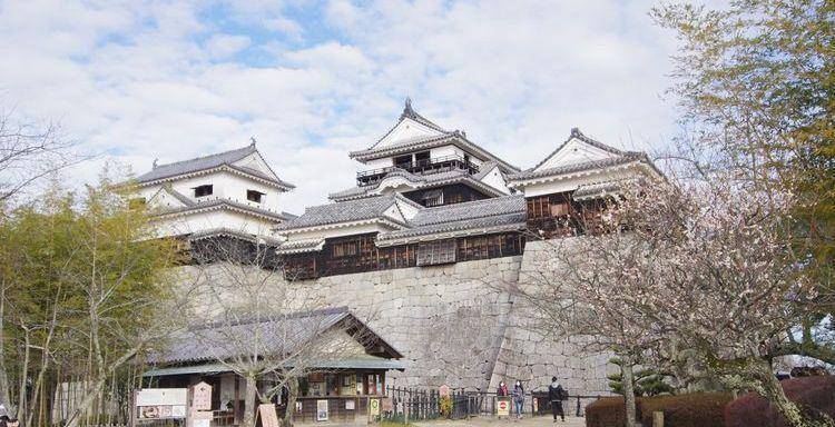 在松山城闲逛,走进《坂上之云》的世界,与建筑大师安藤忠雄对话_日本