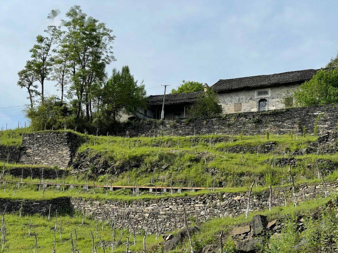 這個冬日來鄖陽體驗鄉村慢生活_十堰_櫻桃溝村_地址