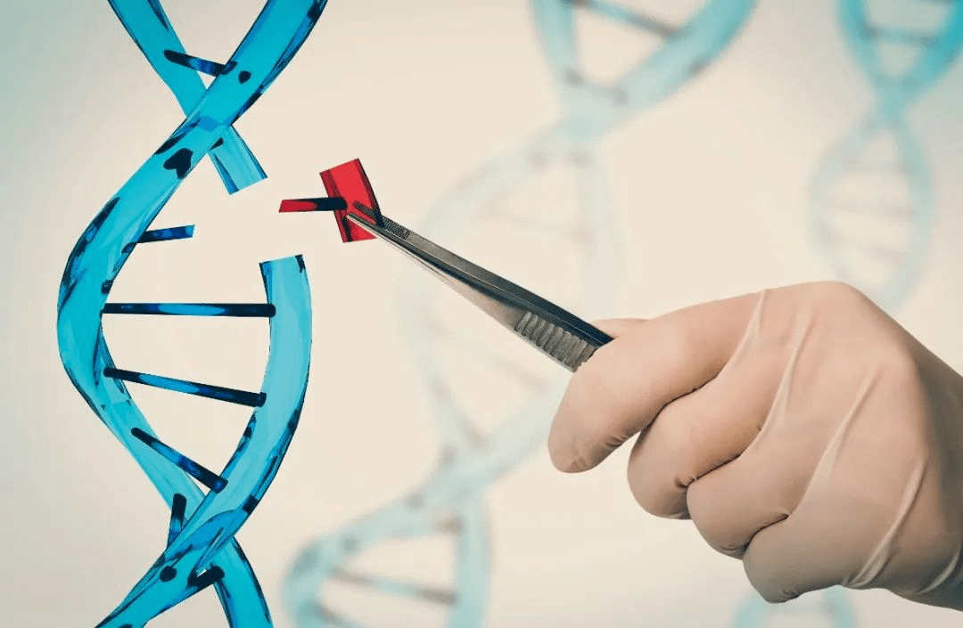 合成生物学是继"dna双螺旋结构的发现"和"人类基因组计划"之后,以工程