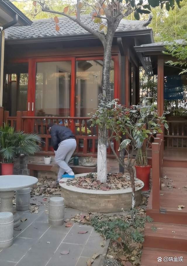 余少群:过起了田园生活,在别墅里干起"清扫院落和养鸡"的活计_视频