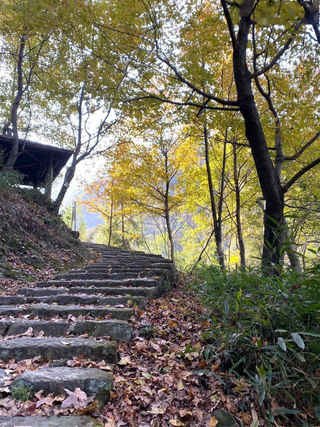 陶宴岭古道图片