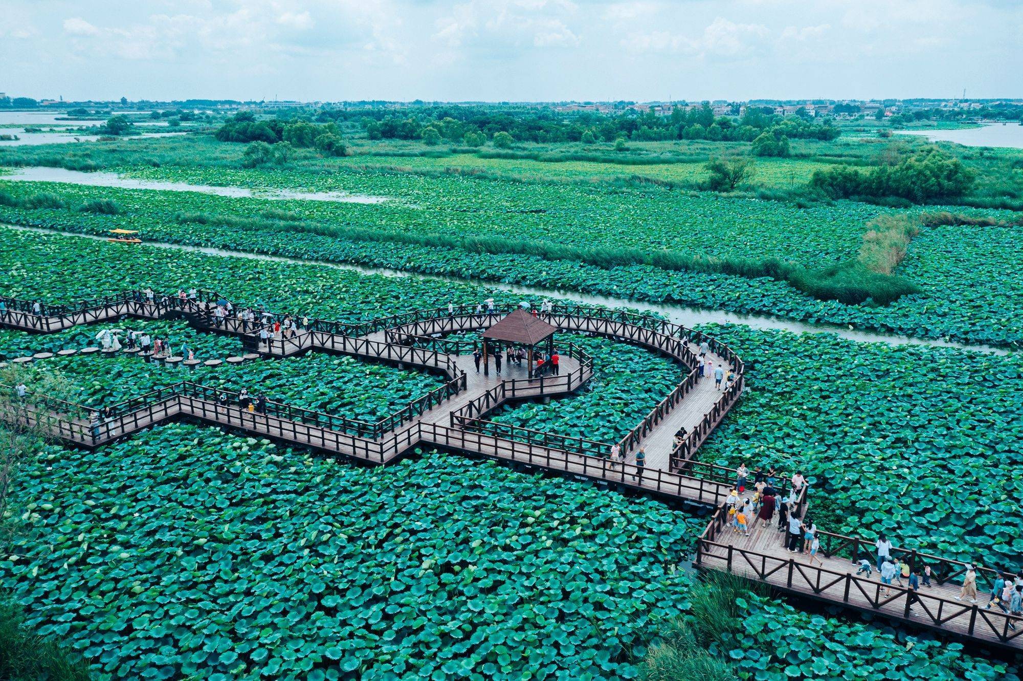 周口淮阳龙湖风景区图片