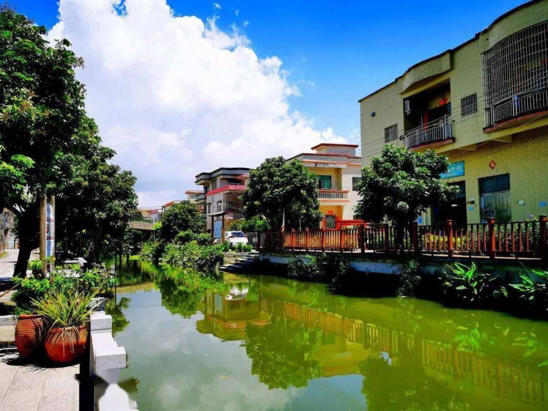 【基层治理】睦洲镇南安村:探索"125基层治理现代化治理体系","难安村