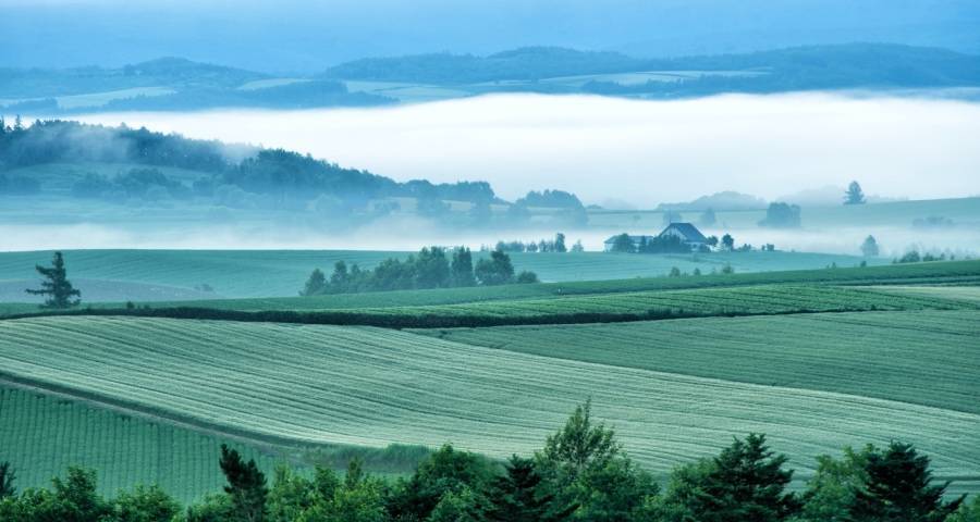 三年“大考”后2023年家电市场机会-家电圈官网