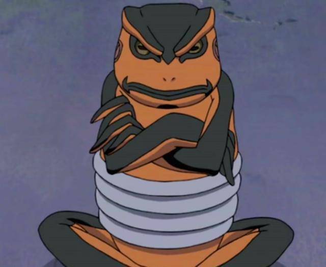 妙木山的蛤蟆都记载在一个卷轴上,如果哪只蛤蟆死去,名字也会