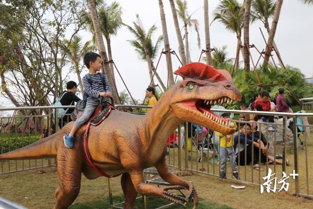 肇庆旅游业,正在复苏_星湖_活动_游乐园