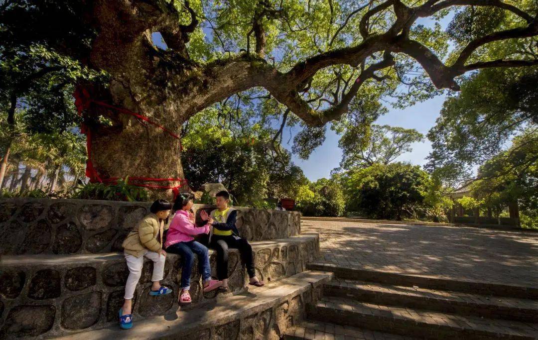 古树公园二是居民建筑变创客民宿02成立民宿协会,积极引导村民将