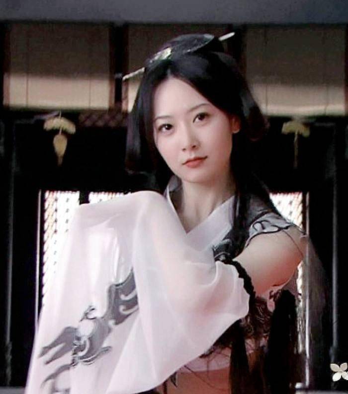 事业发展一度火热,又相继和胡歌合作了电视剧《苦咖啡》,《新少林寺》