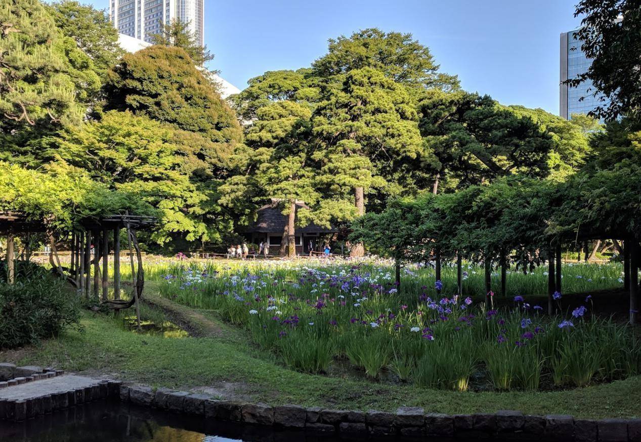 东京神乐坂一日游行程 东京大神宫 祈求恋爱运的神社_赤城_乐园_江户