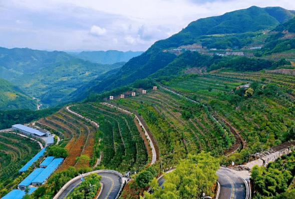 彩農園景區為首批