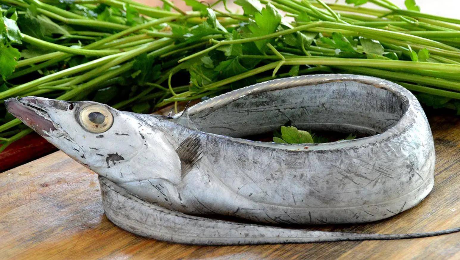 买带鱼,看眼睛很重要,老鱼农教你挑选,别盲目购买_市场_年货_做法