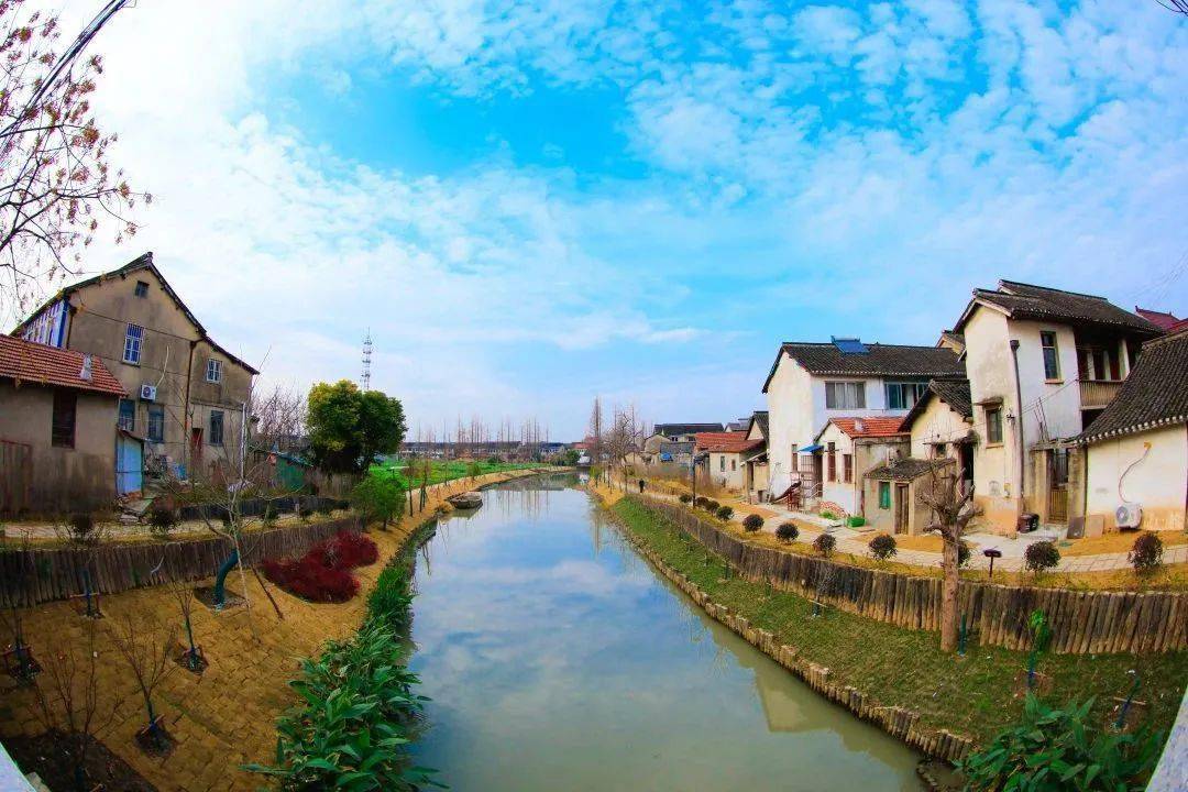 外冈镇今年的成绩单和明年的工作重点来了~_项目_中心_建设