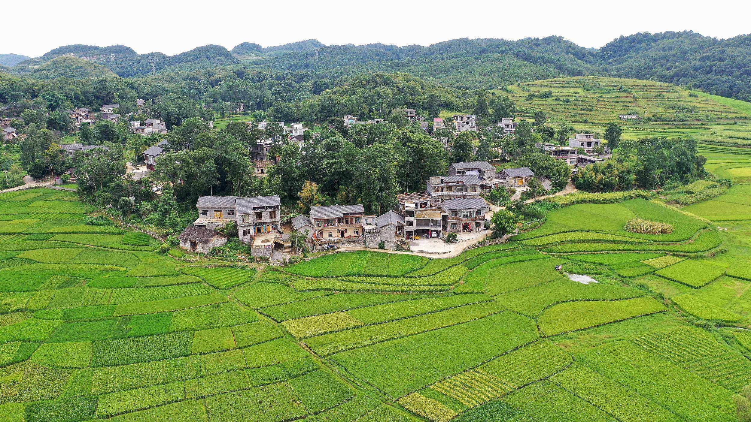 焦点|加速清除"空壳村" 多地探索新型农村集体经济发展路径_组织_管理