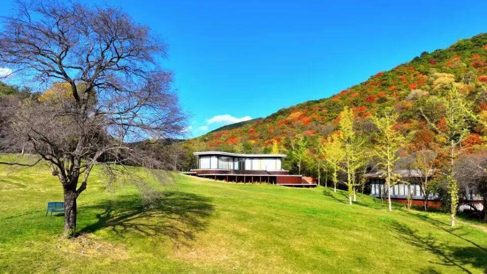 旬邑大唐鹿野苑旅游度假区森林康养基地成功入选第二批陕西省森林康养