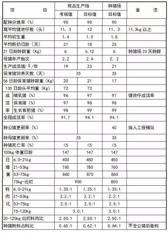 母猪100天b超图片图片