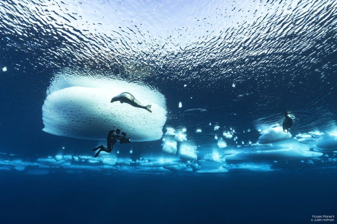 下田海中水族馆】景点指南、交通 \u0026 周边景点资讯 | 好运日本行, image size:1350x900