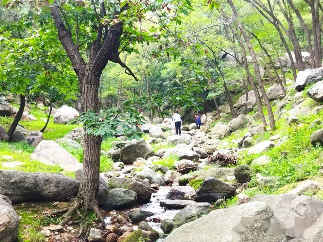 临朐九山风景区图片