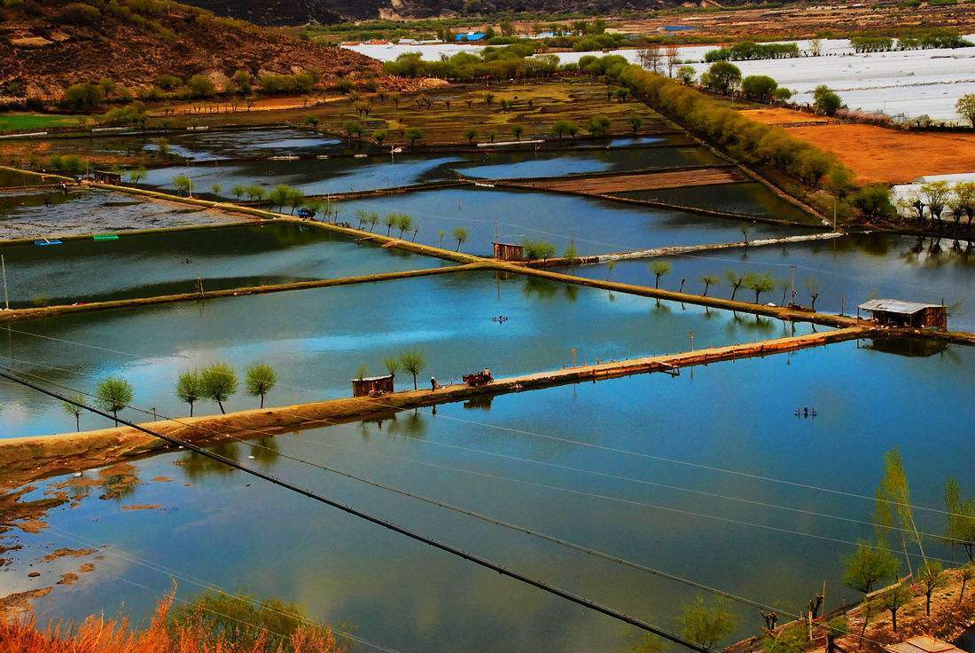 "藏南"地区现状,带你走近真实的藏南地区_地方_当地人_发展