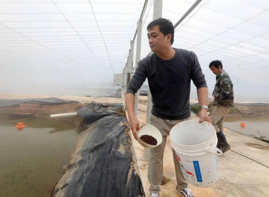 原来可以这样防寒!_农业_水产养殖场_种植