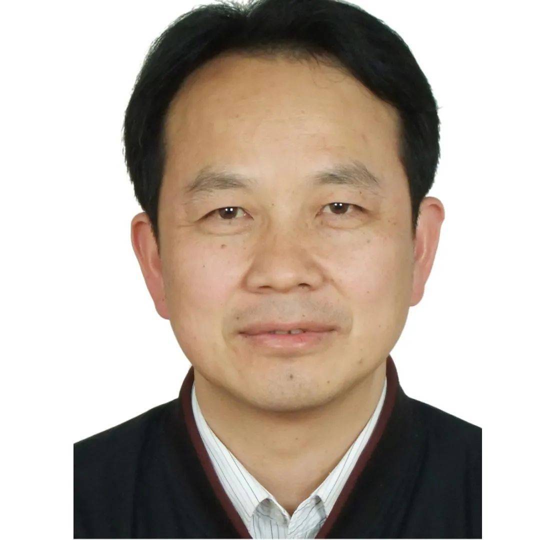 珠宝检测中心主任,珠宝学院教授杨明星的发言题目