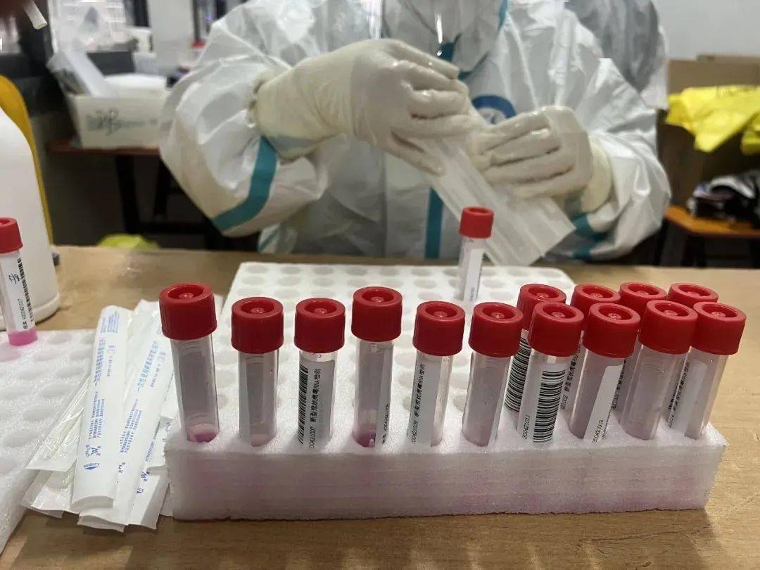 张伯礼强调无论是哪种原因导致的复阳经临床观察证实复阳病例均没有