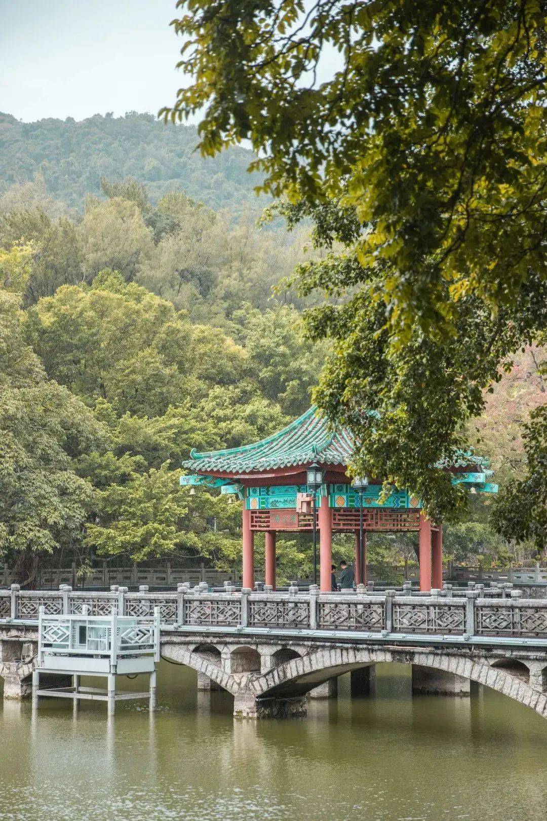 和最爱的人一起漫步走过白莲湖畔,享受那惬意时光,我想你一定也会陶醉