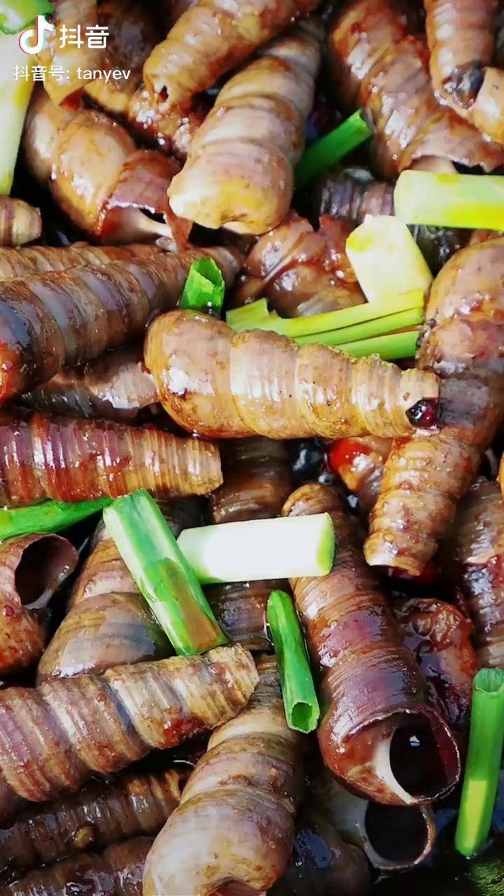 自制香辣炒长尾螺,吸起来同样的爽创作人计划