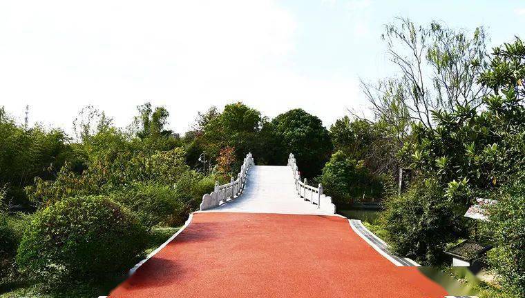 來鹽城世紀公園,欣賞與眾不同的風景(7)_地方_草地_果實