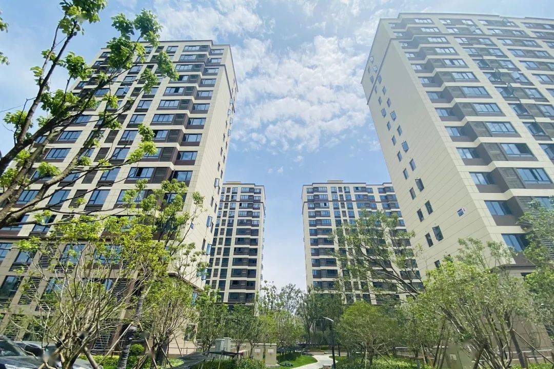 海盐又一安置小区交付,67户居民喜提新居!_秀水_景观带_绿化