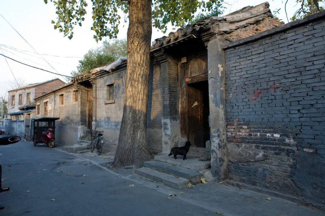 中国最会唠的大爷,都坐在这儿了_胡同_北京_生活