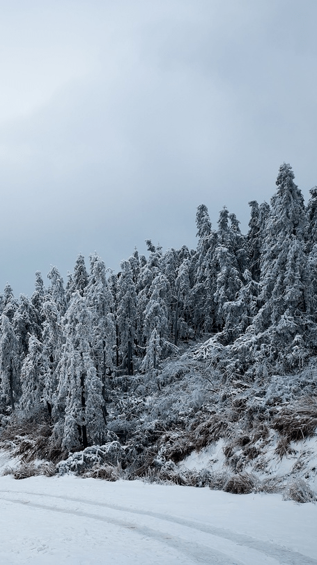 天湖雪景图片