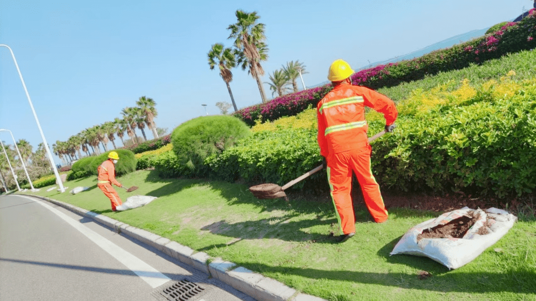 天冷巧施肥,来年绿满街→