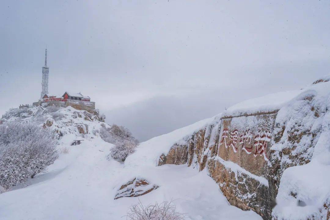 泰山雪景壁纸图片