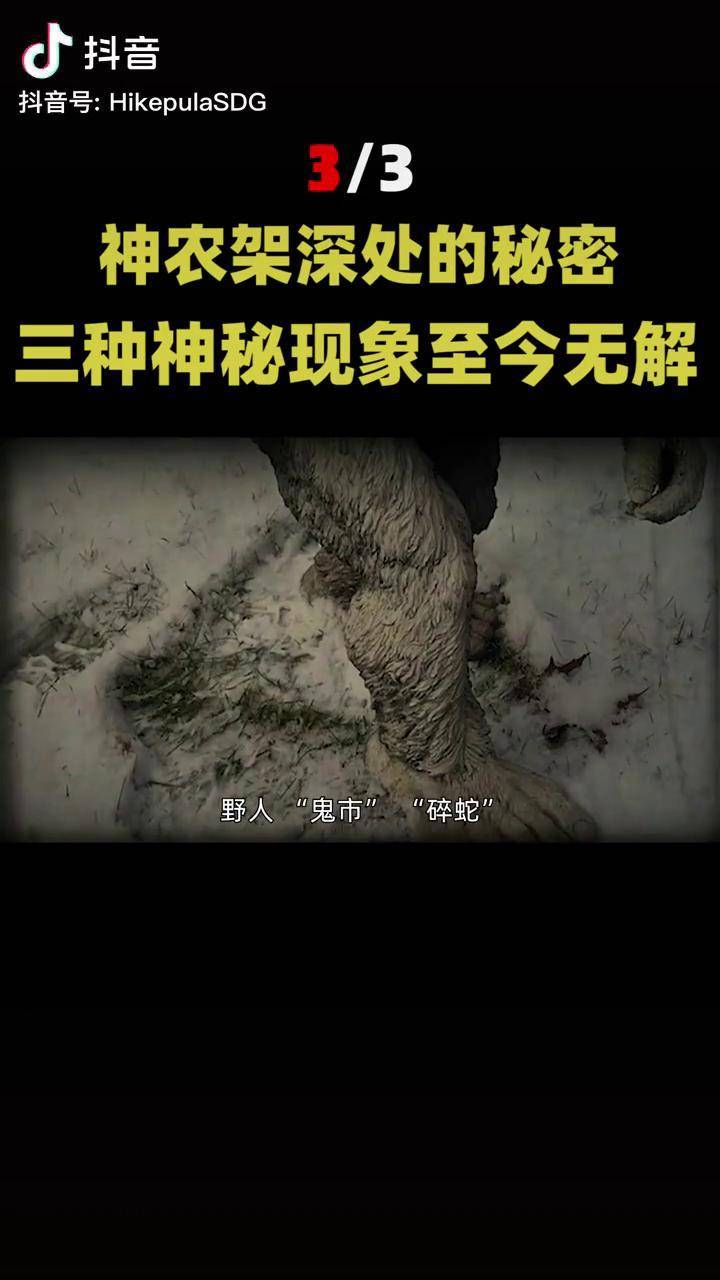 神农架禁区神秘现象图片