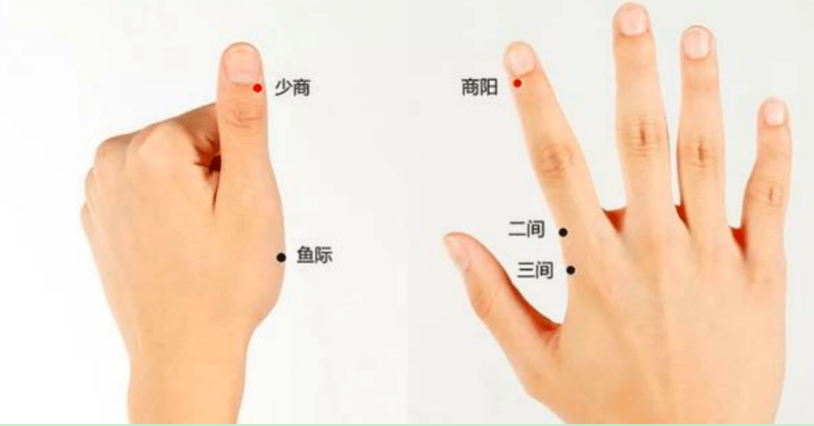 食指桡侧位置图图片