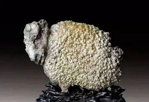 天价成交:一块像绵羊的石头卖了450万!_奇石_平台_金奖