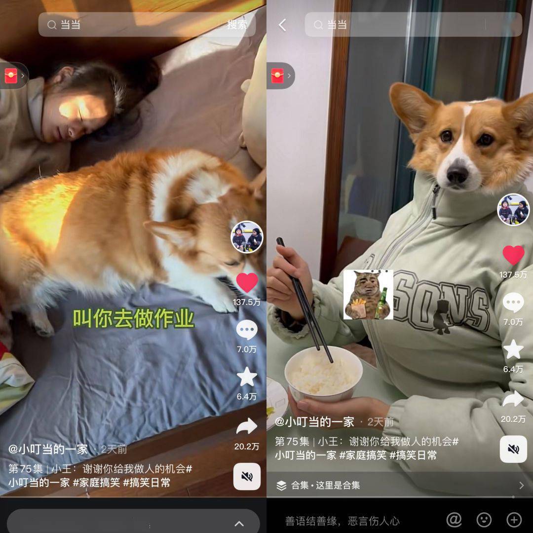 搞笑赛道再出黑马，@小叮当的一家凭借性格迥异姐妹花火出圈_搜狐网