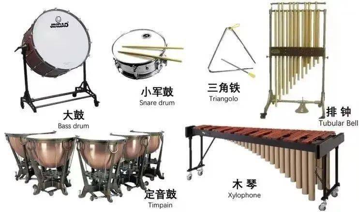 小学管乐队乐器配置图片